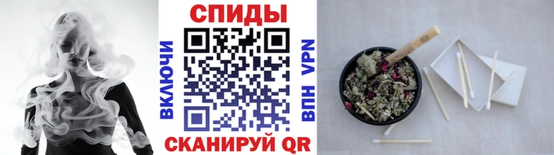 мориарти Telegram  Вяземский  БУТИРАТ буратино 