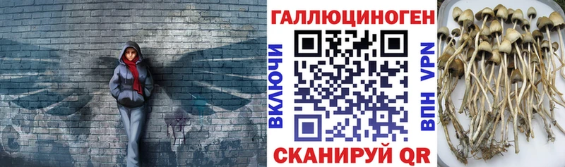 Галлюциногенные грибы GOLDEN TEACHER  Вяземский 